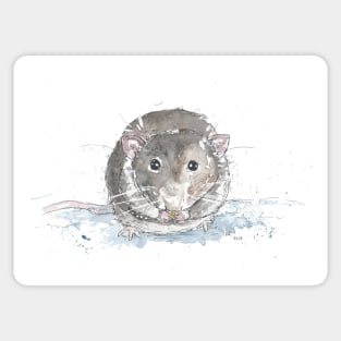 Rat portrait Sticker